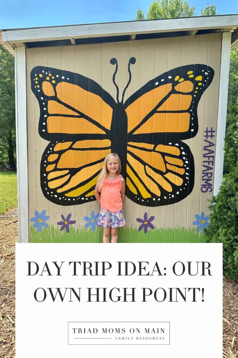 Day Trip Idea: Our Own High Point!