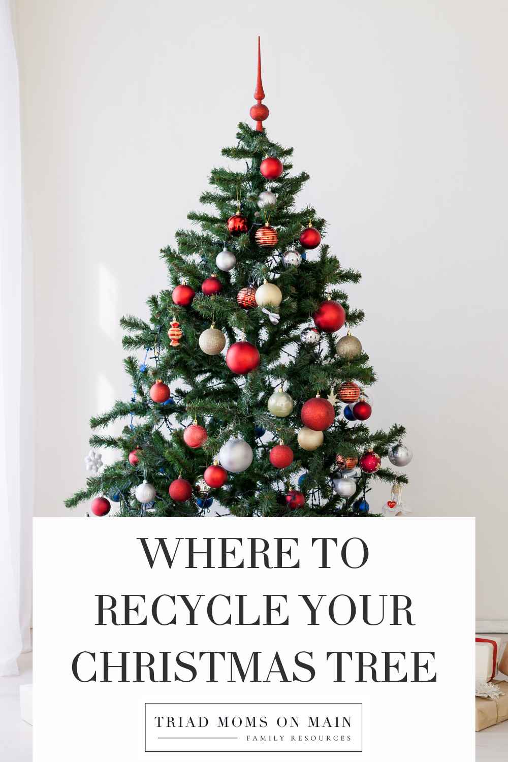 Where to Recycle Your Christmas Tree
