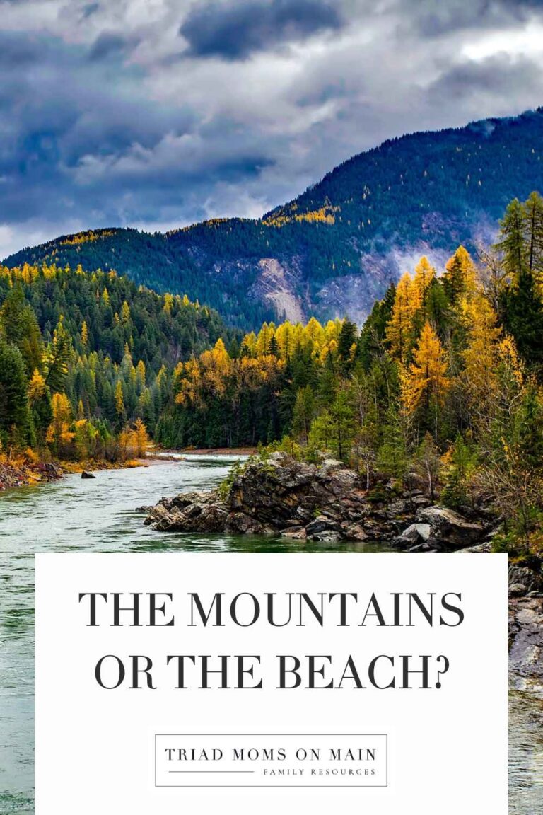 The Mountains or the Beach?