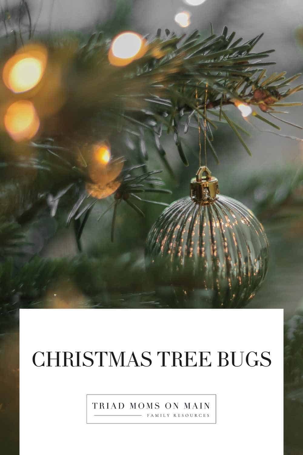 Christmas Tree bugs