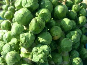 Getting your Child to Eat Brussel Sprouts (and like them!)