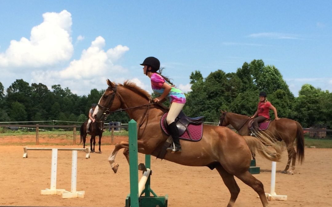 Five Tips to Successfully Incorporate Horses Into Your Summer Activities