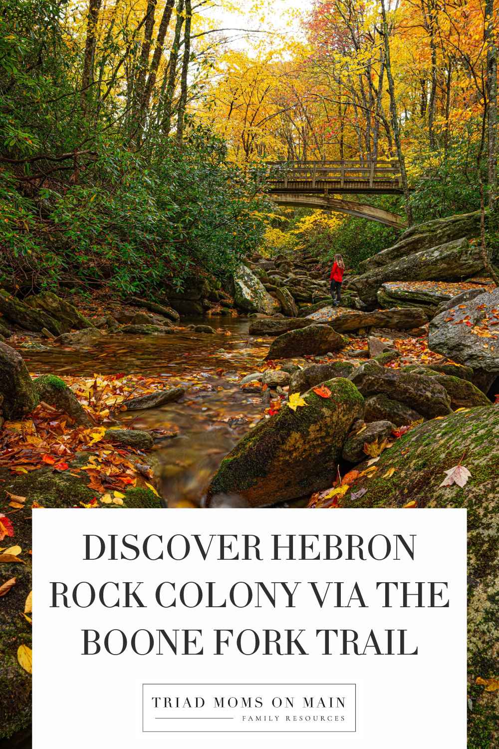 Discover Hebron Rock Colony via the Boone Fork Trail