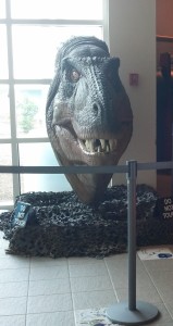 Dino head at SciWorks