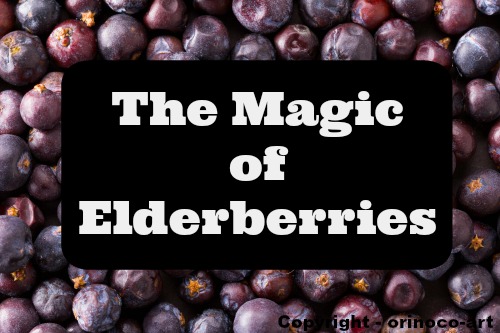 The Magic of Elderberries