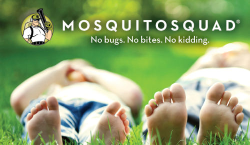 mosquitosquad_giveaway