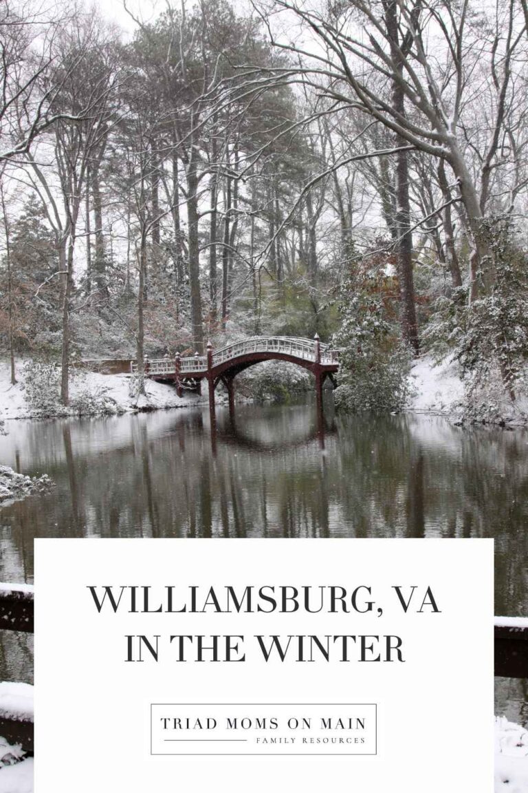 Williamsburg in the Winter