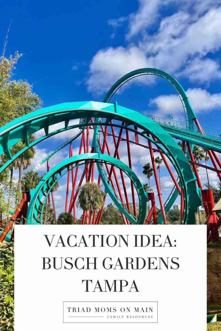 Vacation Idea: Busch Gardens Tampa