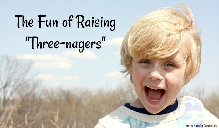 The Fun of Raising Three-nagers