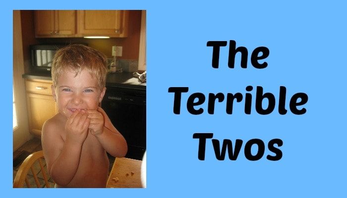 Surviving the Terrible Twos
