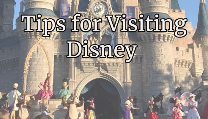 20 Random Tips for Visiting Walt Disney World