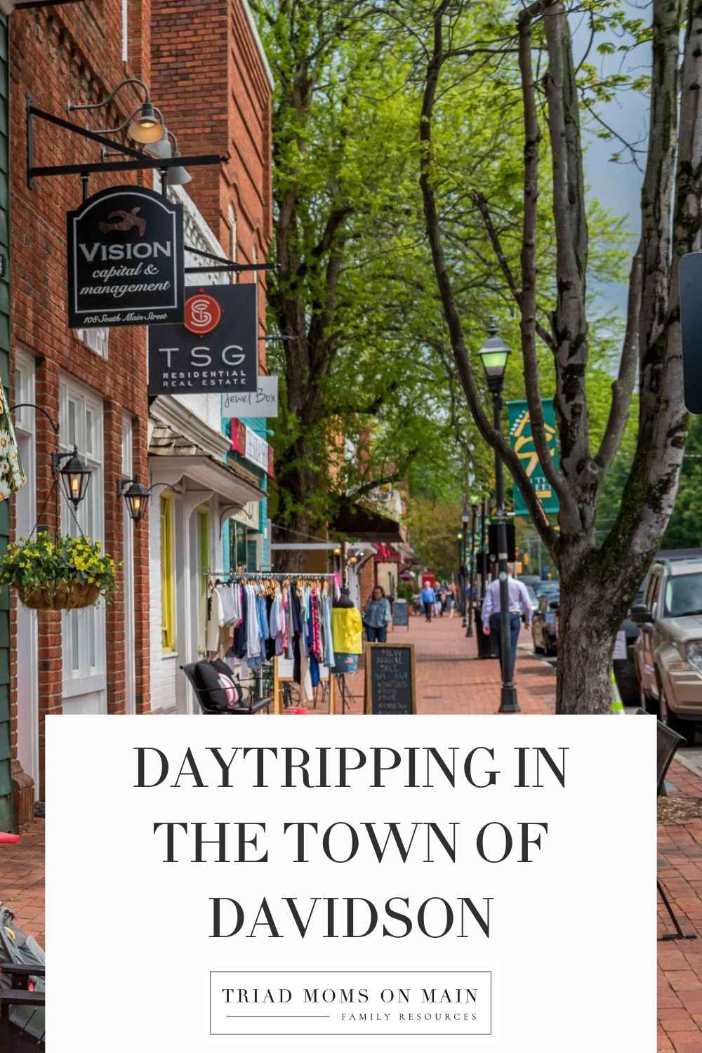 Daytripping in the Town of Davidson