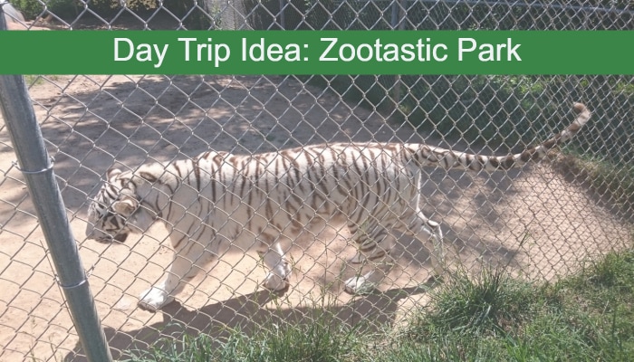 Day Trip Idea: Zootastic Park