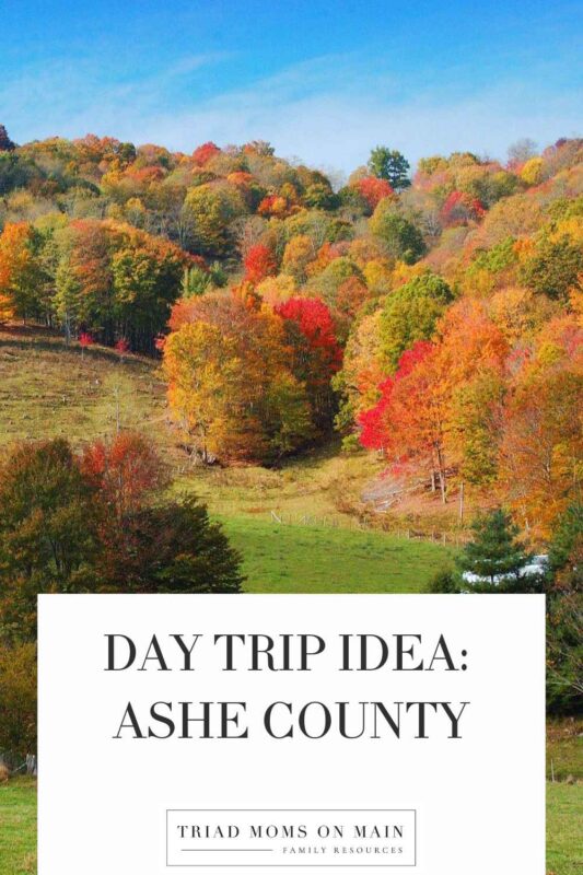 Day Trip Idea: Ashe County