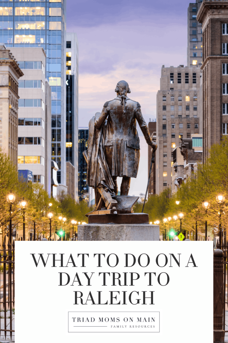 Day Trip Idea: Raleigh