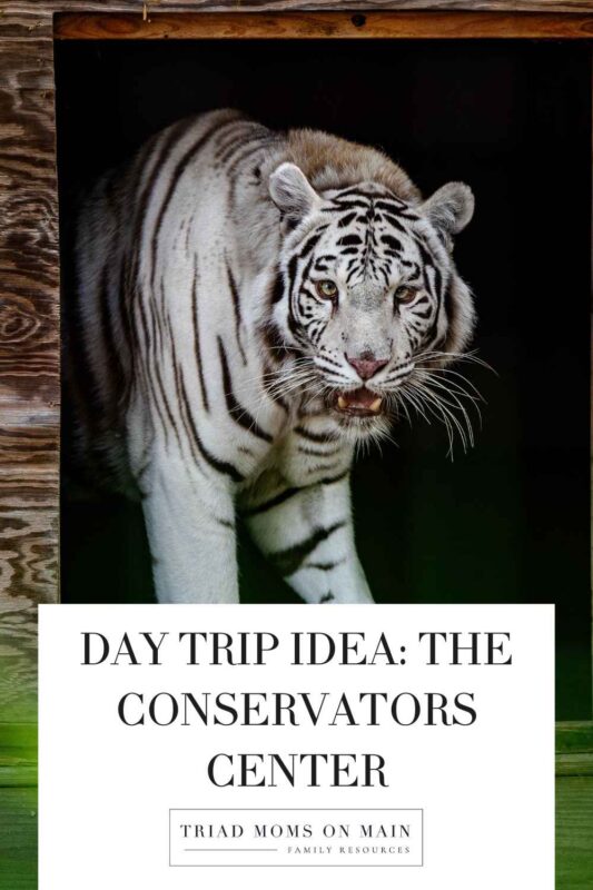 Day Trip Idea: The Conservators Center