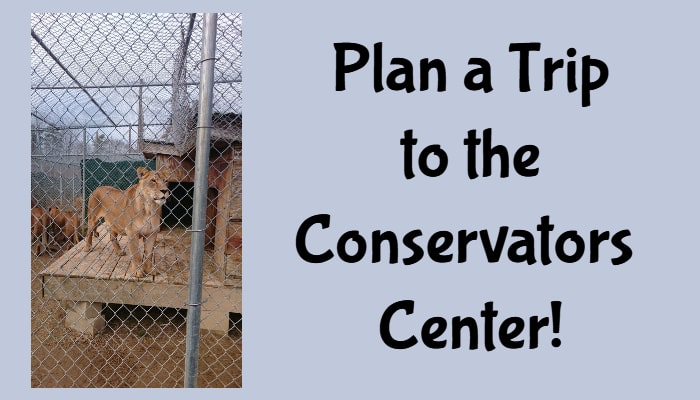 Day Trip Idea: The Conservators Center