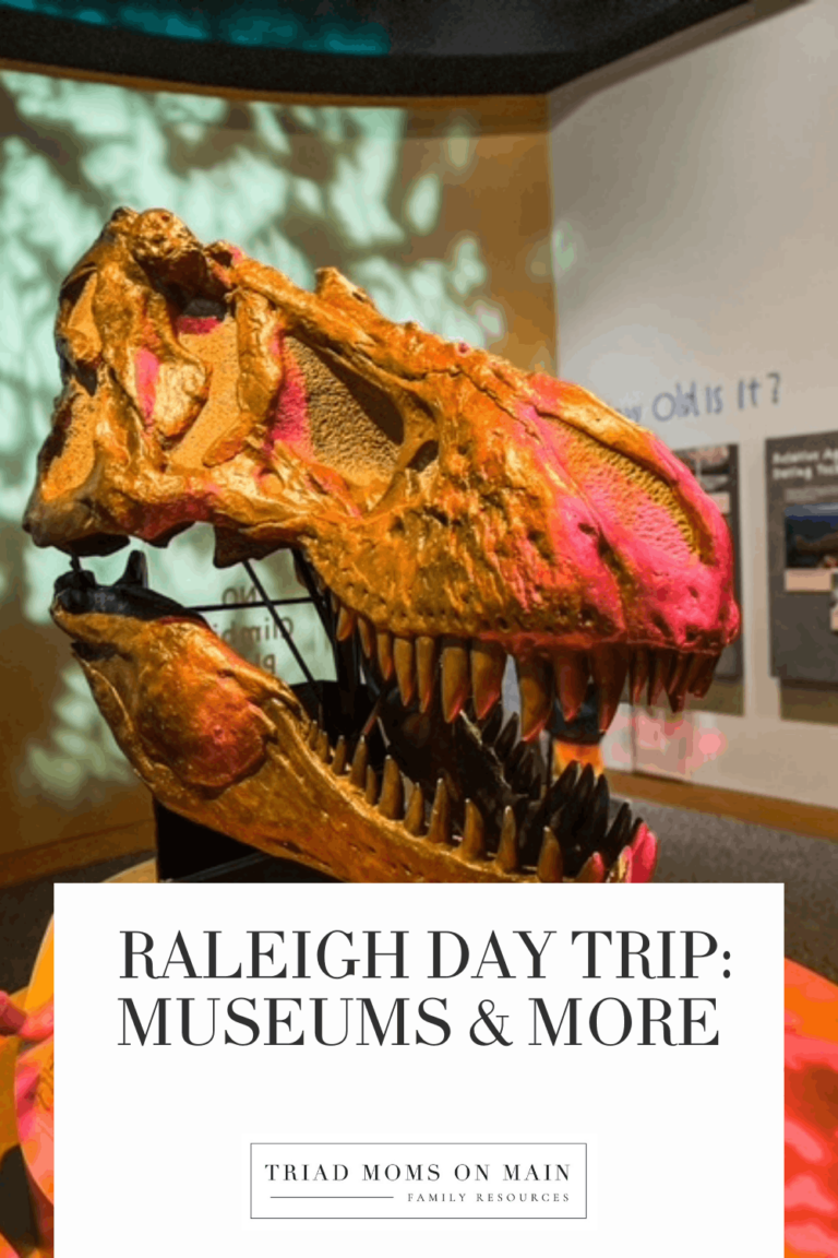 Day Trip Idea: Raleigh Museums + More