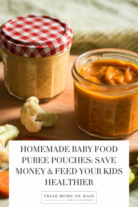 Homemade Baby Food Puree Pouches: Save Money & Feed Your Kids Healthier