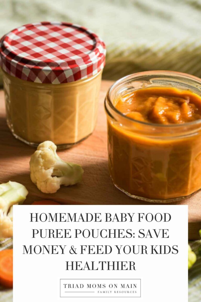 Homemade Baby Food Puree Pouches: Save Money & Feed Your Kids Healthier