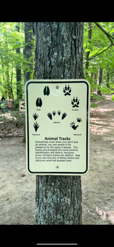 All-A-Flutter Butterfly Farms Nature Trail