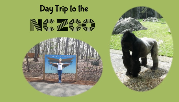 Day Trip Idea: NC Zoo
