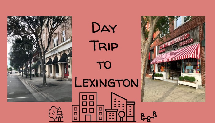 Day Trip to Uptown Lexington, NC