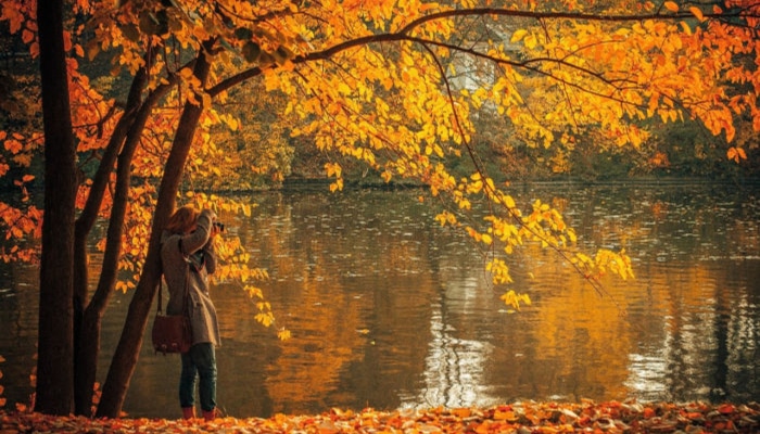 The Top 10 Day Trips for Fall