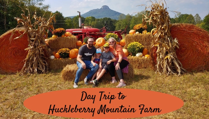 Day Trip Idea: Huckleberry Mountain Farm