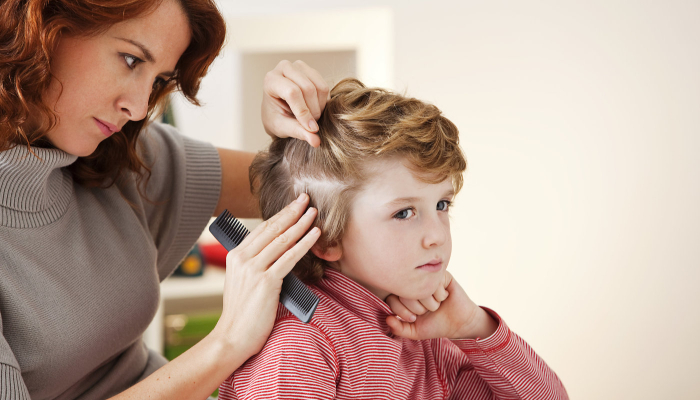 The Dreaded “L” Word: LICE