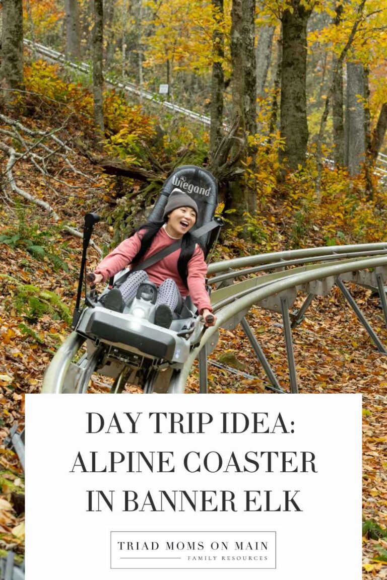 Day Trip Idea: Alpine Coaster in Banner Elk