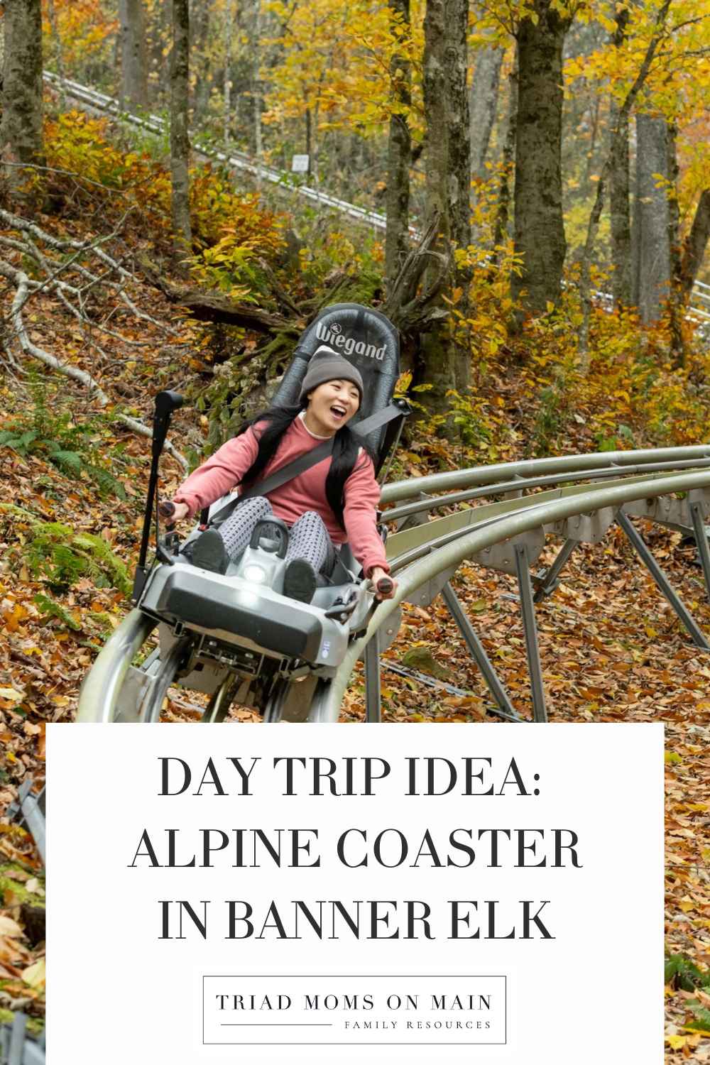 Day Trip Idea: Alpine Coaster in Banner Elk
