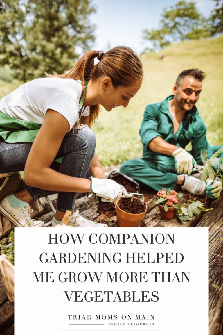 How Companion Gardening Helped Me Grow More Than Vegetables