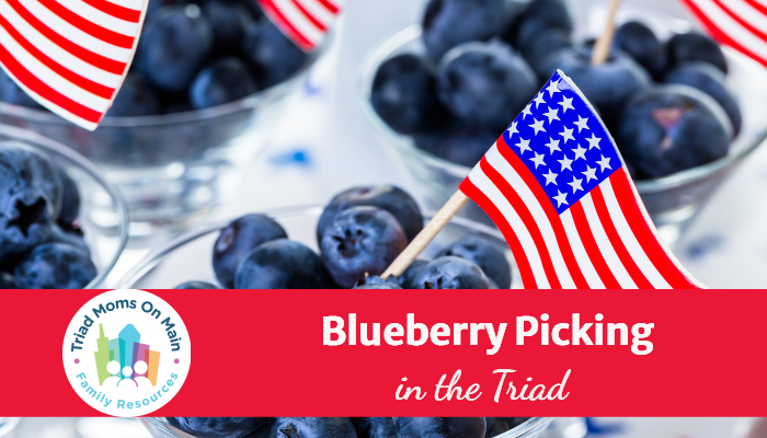 Blueberry picking directory