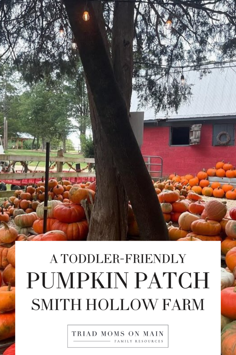 Smith Hollow Farm: A Toddler-Friendly Pumpkin Patch in the Triad