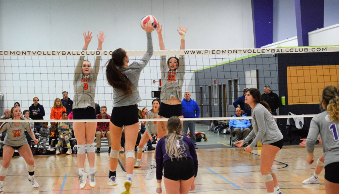 Champion Volleyball Club – Training Champions Every Day!