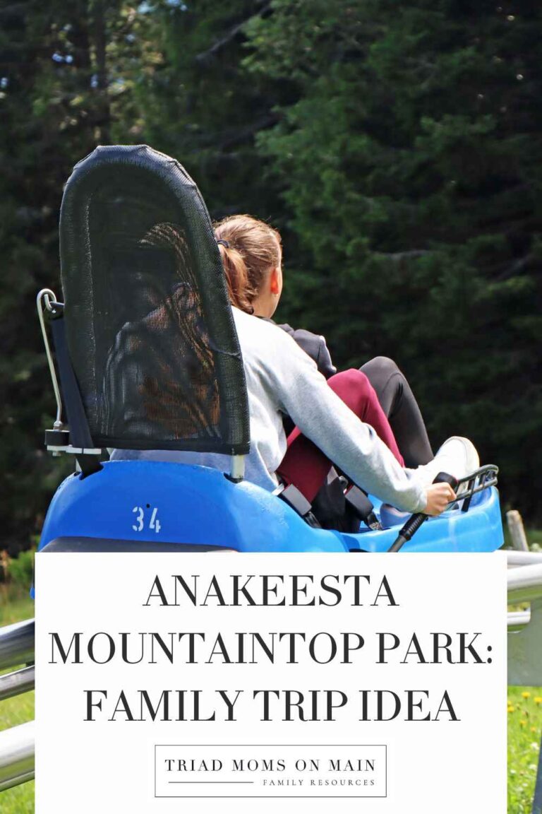 Anakeesta Mountaintop Park: Family Trip Idea