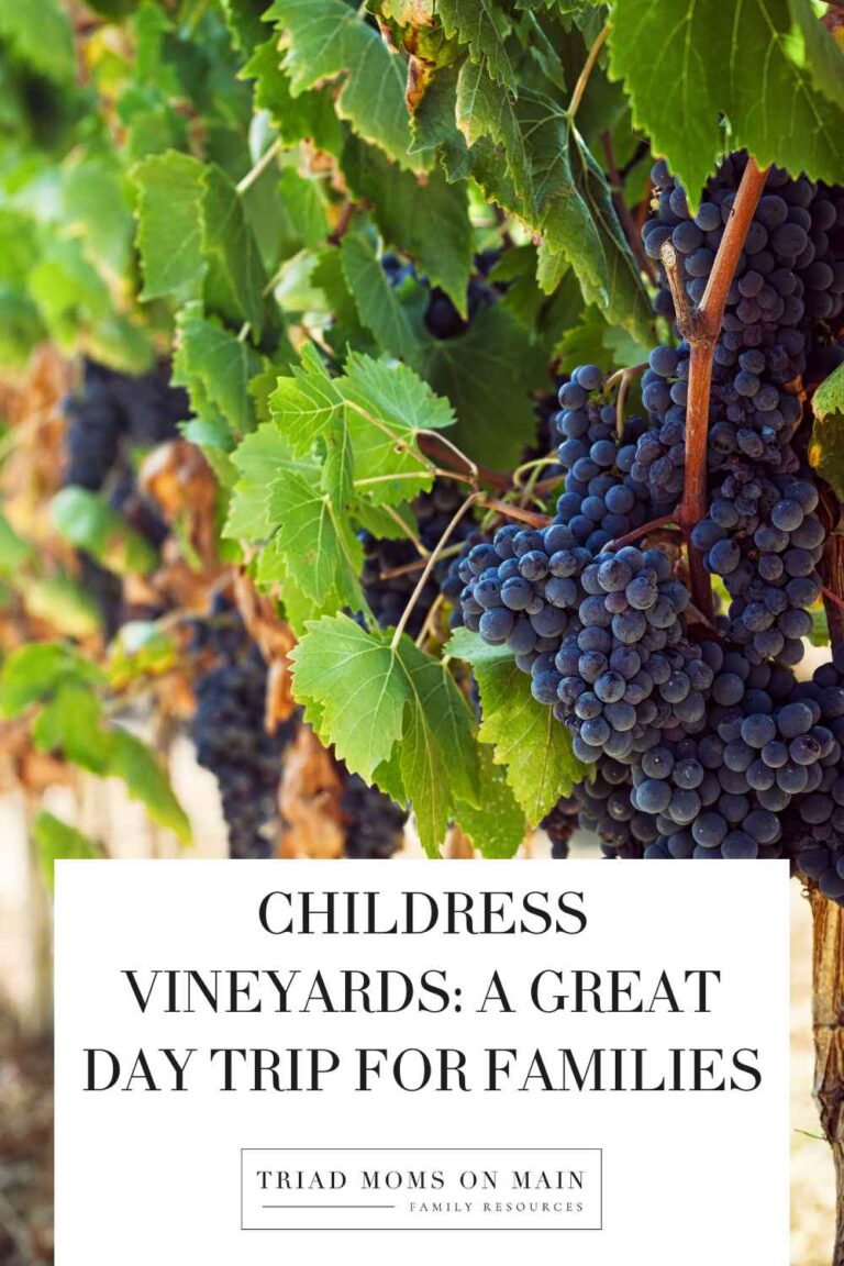Childress Vineyards: A Great Day Trip for Families