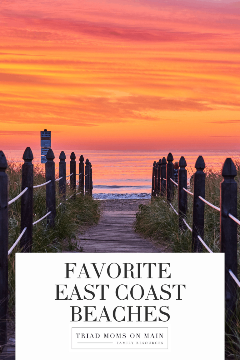 Best Family Beaches on The East Coast