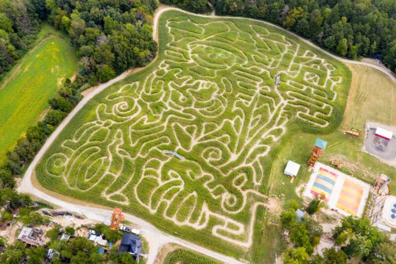 Kersey Valley Maize Adventure