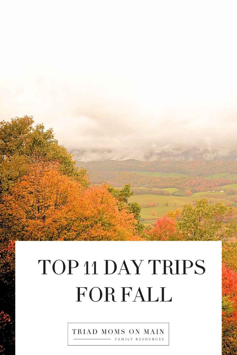 Top 11 Day Trips for Fall