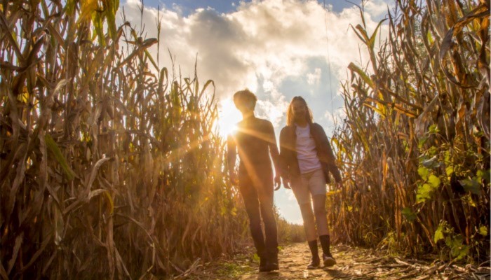 Kersey Valley: The Ultimate Family Destination for Fun This Fall
