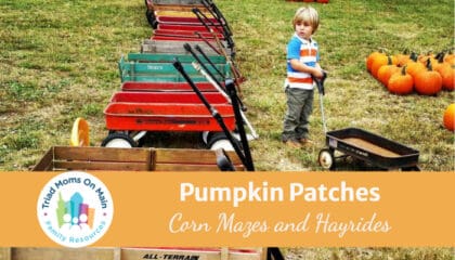Pumpkin Patches, Hayrides & More!