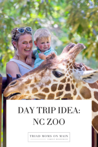 Day Trip Idea NC Zoo