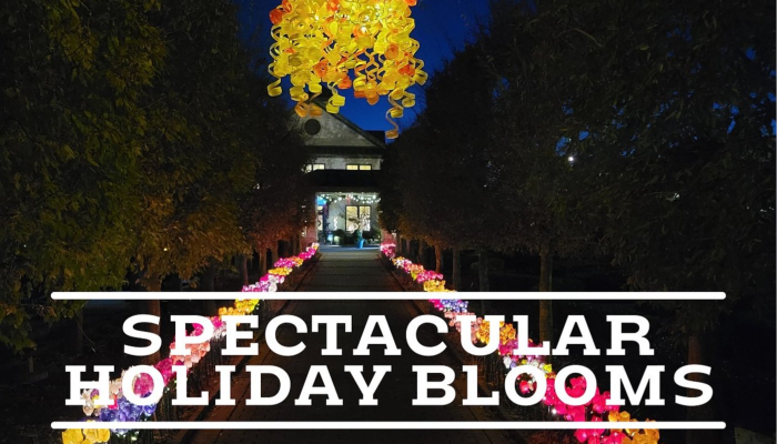 Dec. 16-23 & 28-30: Spectacular Holiday Blooms