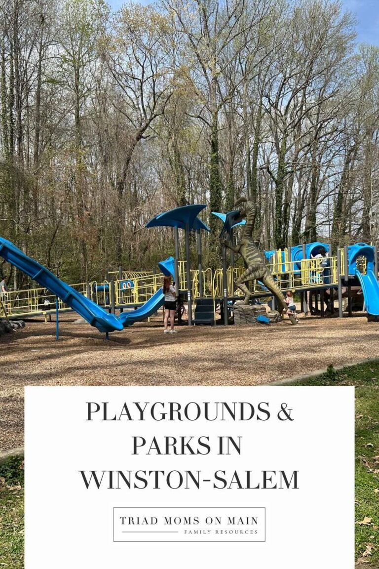 Best Playgrounds and Parks in Winston-Salem, NC for Families