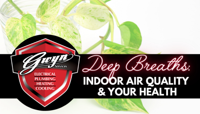Deep Breaths- Indoor Air Quality and Your Health