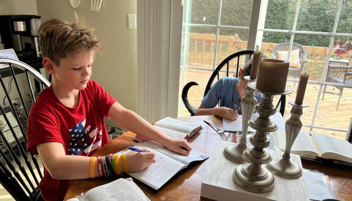 What Solo-Parent Homeschooling is Really Like