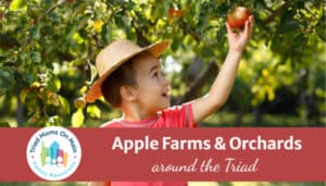 pick-your-own apple farms