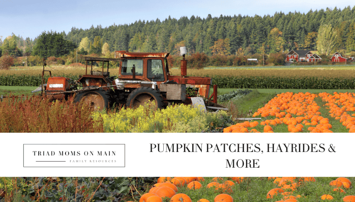 Pumpkin Patch Directory